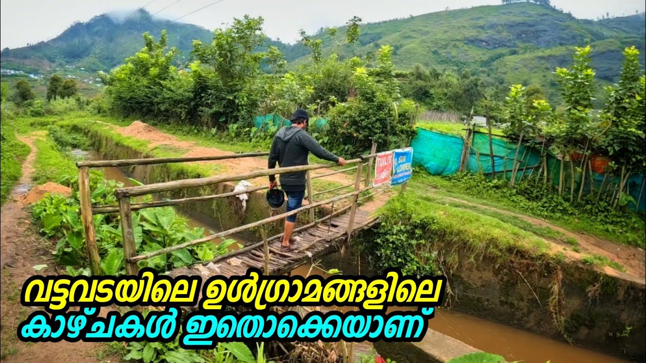 വട്ടവടയിലെ ഉൾഗ്രാമങ്ങളിലെ കാഴ്ചകൾ ഇതൊക്കെയാണ് | Kerala Village Tour
