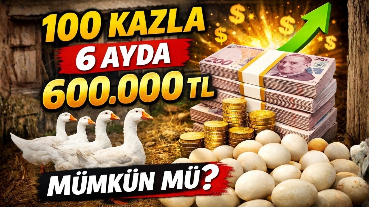 100 KAZ İLE 6 AYDA 600TL MÜMKÜNMÜ?