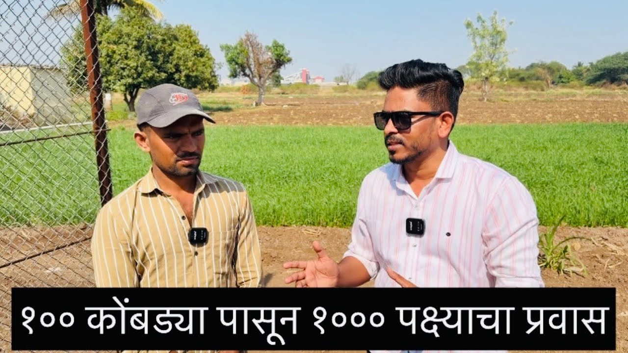 अपयशी कोंबडी पालक कसा यशस्वी होतोय महीन्याला लाख रूपये कमई वीडियो नक्की बघा #dwitfarm 