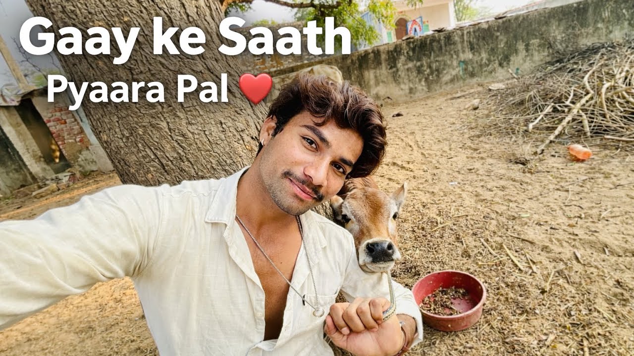Gaay Ke Saath Pyaara Pal ❤️ | Gaon Ki Zindagi Ka Asli Sukh | Village Life Vlog