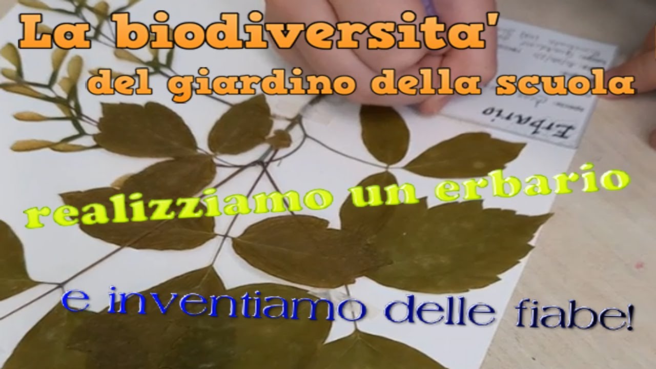 La biodiversità del giardino della scuola - realizziamo un erbario e inventiamo delle fiabe!