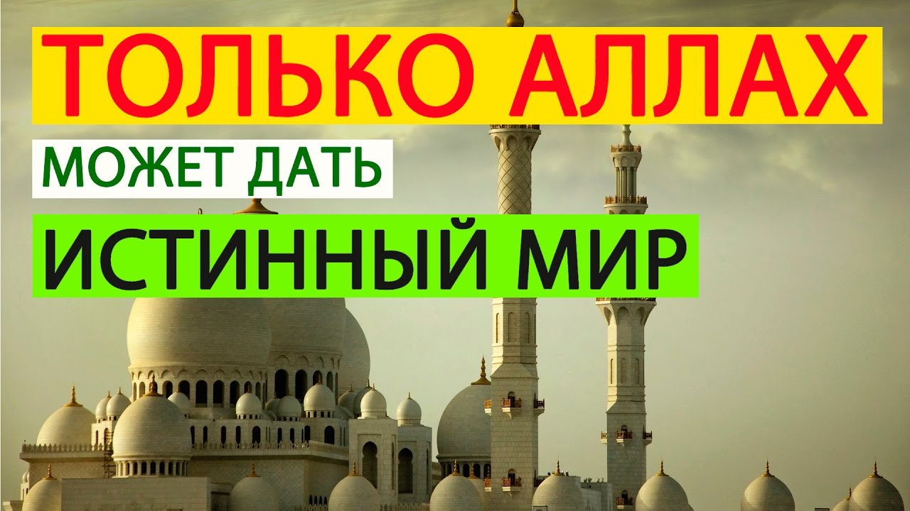 Только Аллах может дать истинный мир - СтопГРЕХ