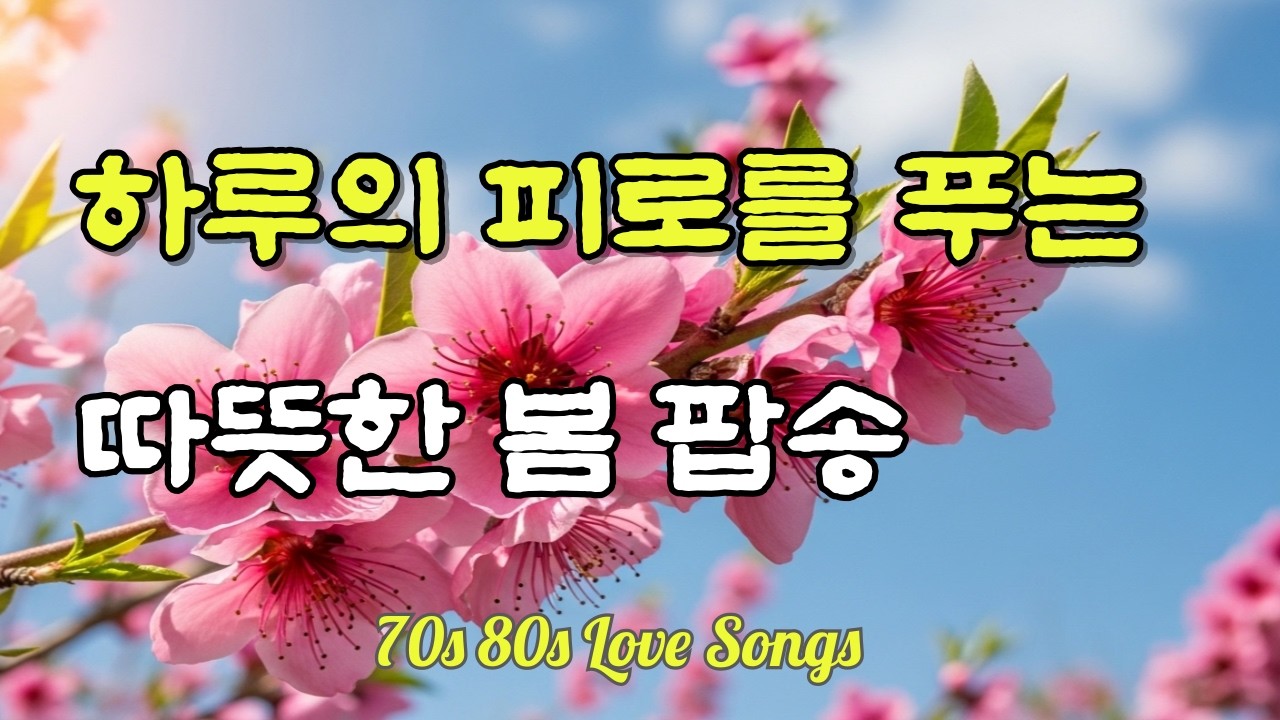 ☕ 감성 카페음악 올드팝 playlist l 오늘도 수고했어요 조용한 밤 음악 l 지친 하루 끝에 듣는 팝송 l 새벽 감성 음악