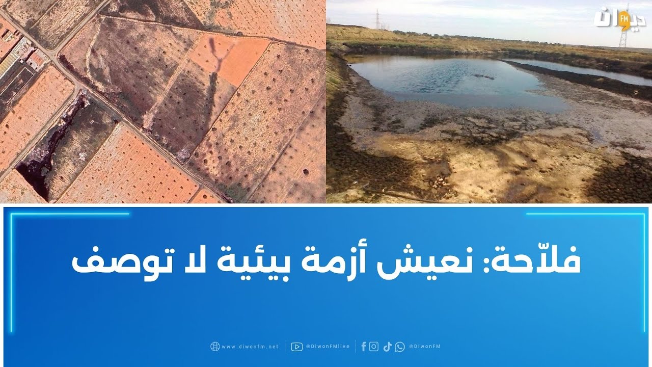 أهالي العوابد بصفاقس يطلقون نداء استغاثة لوالي الجهة ووزارتي الفلاحة والبيئة