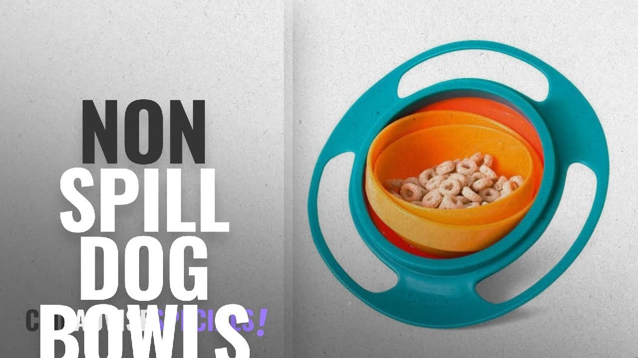 Best Non Spill Dog Bowls [2018]: Toonol Practical Design Children Kid Baby Toy Universal 360 Rotate