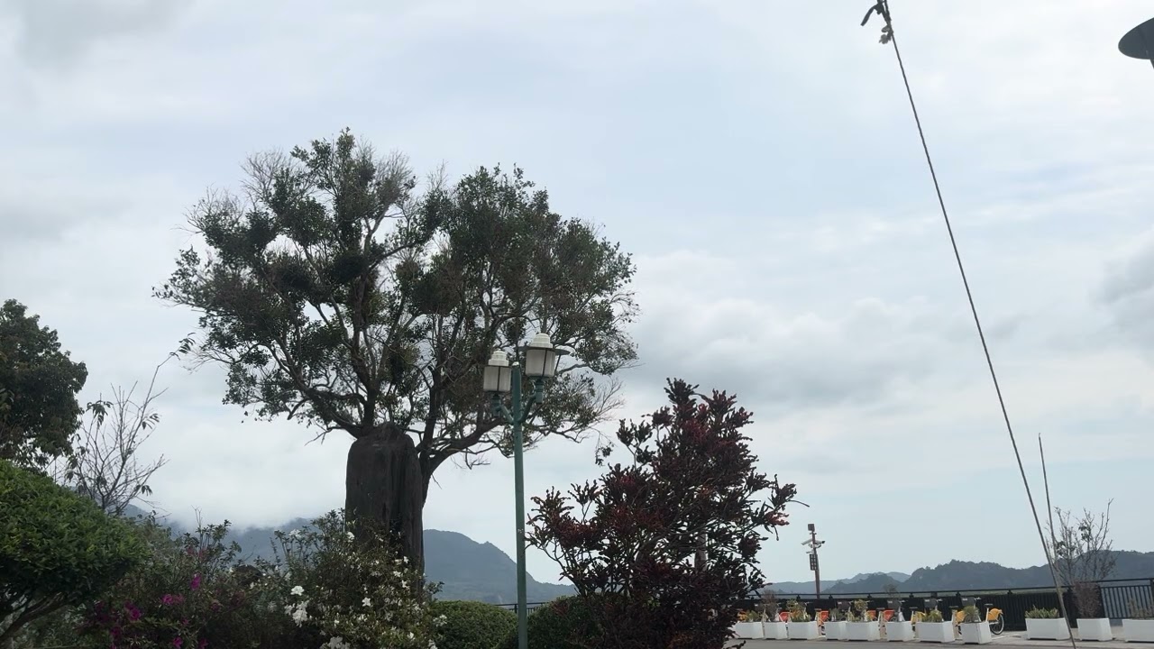 1150227意難忘 爵士版 福鹿山休閒農莊吹奏