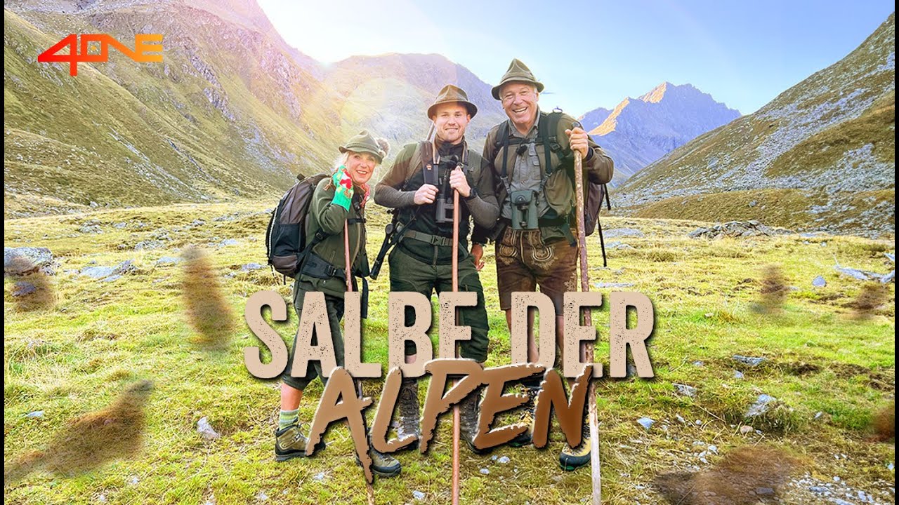 Salbe der Alpen - Die Herstellung der Murmeltiersalbe