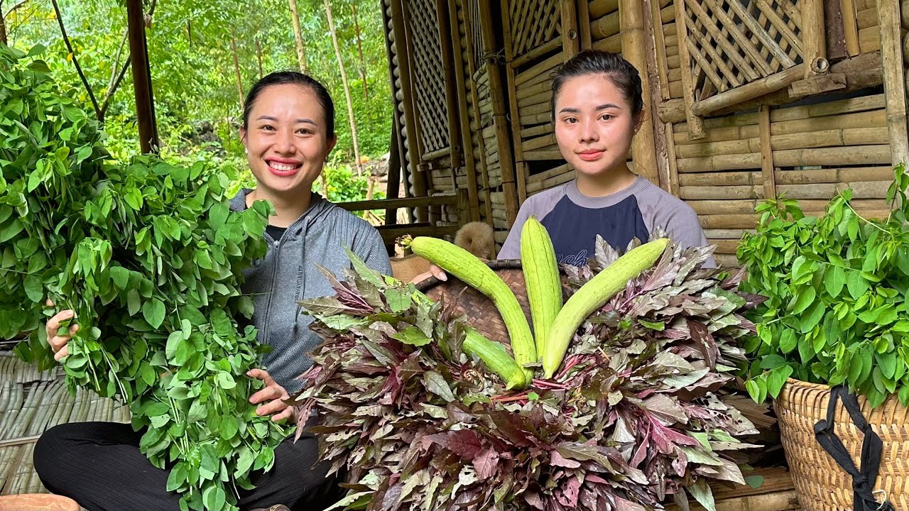 2 sisters harvest luffa and red spinach to sell at the market - Gardening