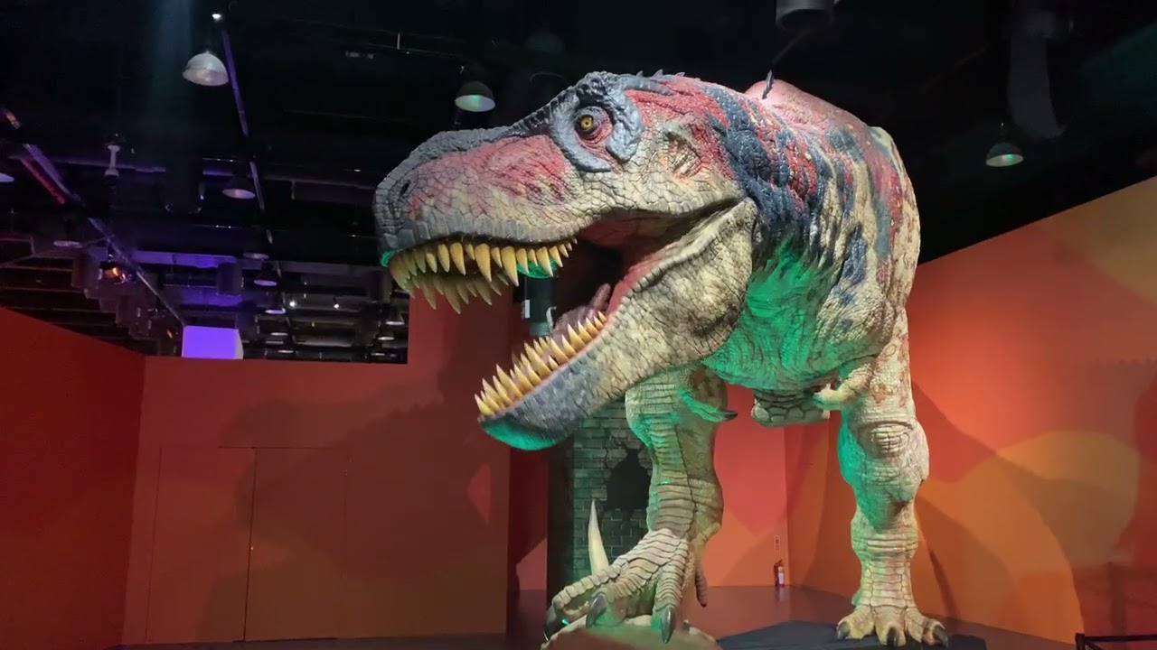 20250212 史前巨獸泰坦恐龍展 鏡頭拍不出的霸氣  最強掠食王者霸王龍