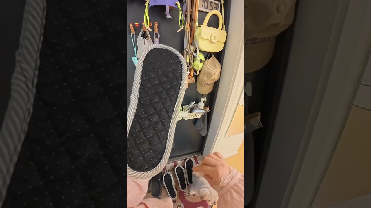 A life diary with cats and dogs a love for life. It snowed so I took my dog out to play in