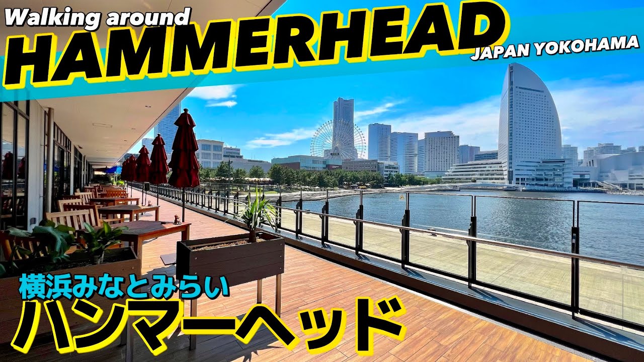 🚢【4K】横浜みなとみらいハンマーヘッドをぐるっとご案内【フロアガイド|横浜観光|中華街】Walking around HAMMERHEAD.Japan Yokohama Travel