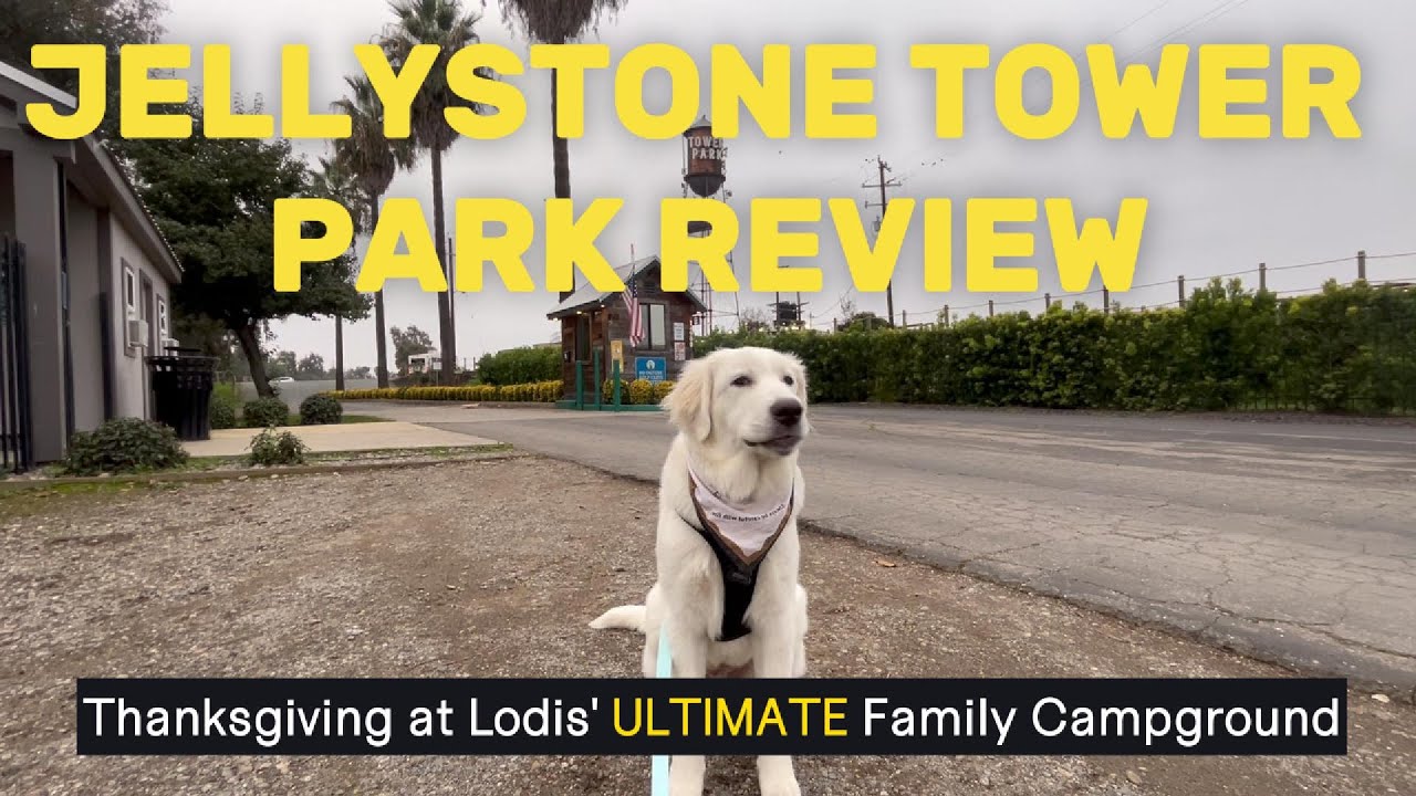 Jellystone Tower Park Review: Thanksgiving at Lodi’s Best Family Campground! 🦃🏕️