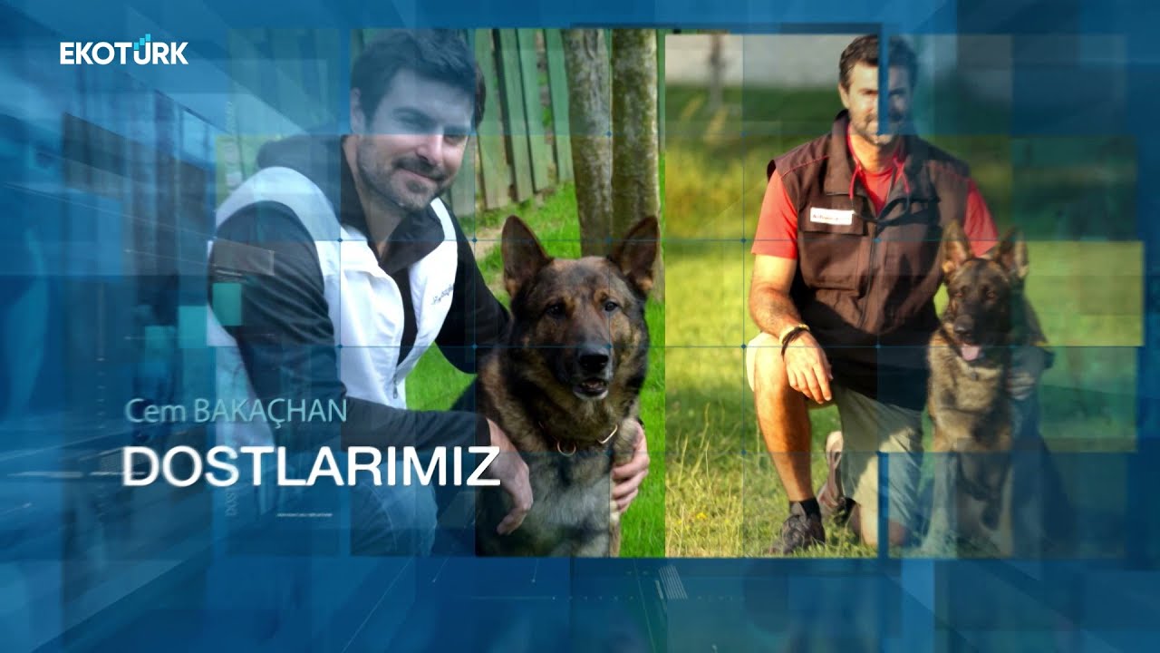 Mesud Uz ve ufak dostu  Blackie