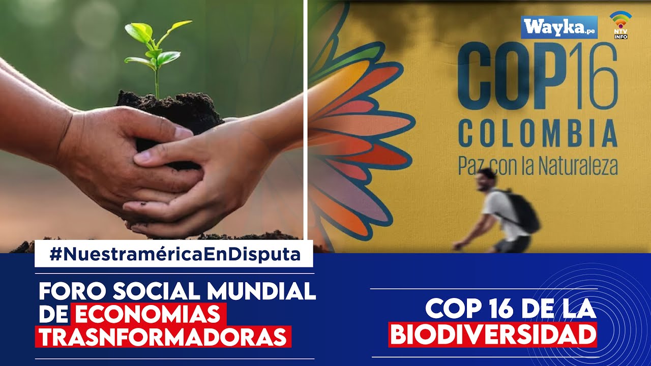 Foro Social Mundial de las Economías Transformadoras / COP16 de la Biodiversidad