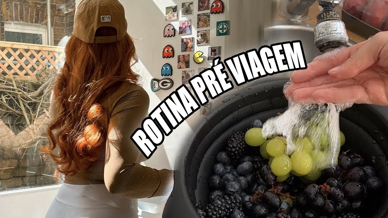 Meu dia PRÉ VIAGEM e preparativos pro meu doguinho epilético!