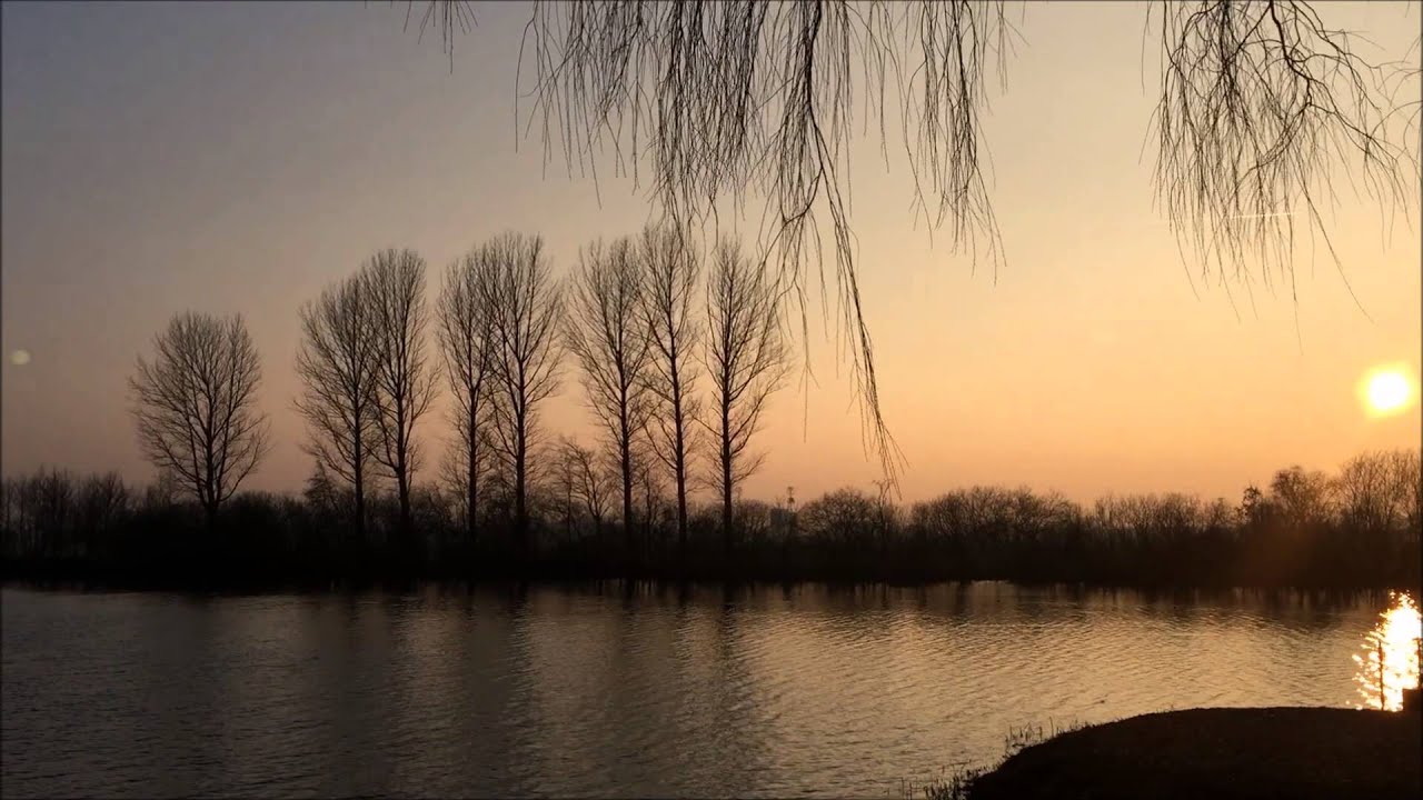 Raub- und Edelfischsee Rosenweiher! Slow Moments by Rosenweiher!