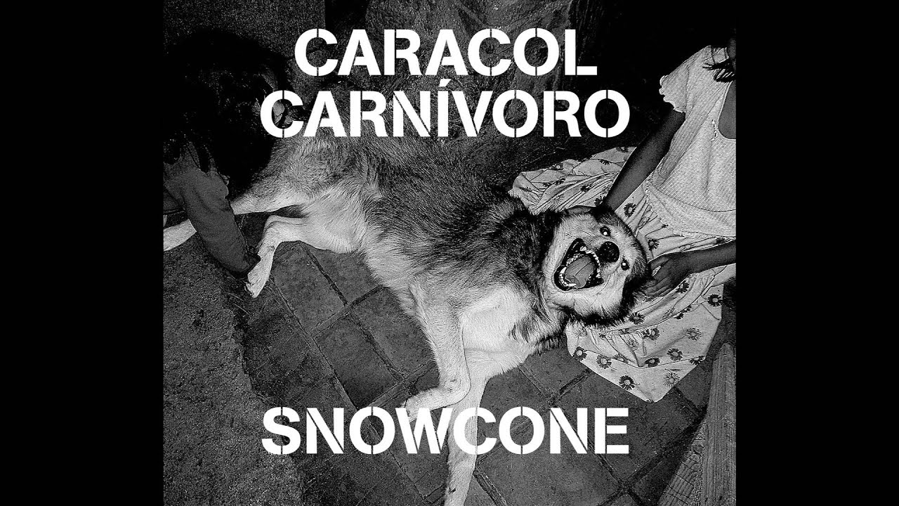 Caracol Carnivoro - Cobra Libre