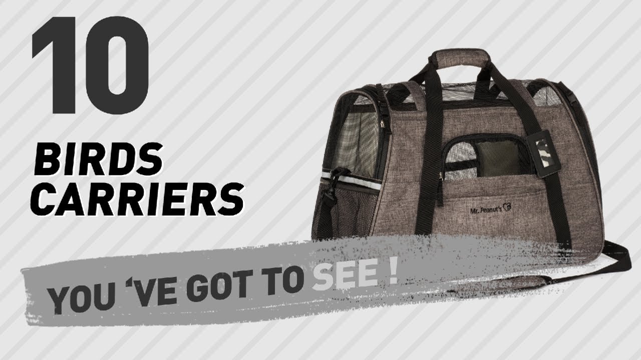 Top 10 Birds Carriers // Birds Lover Channel Presents: