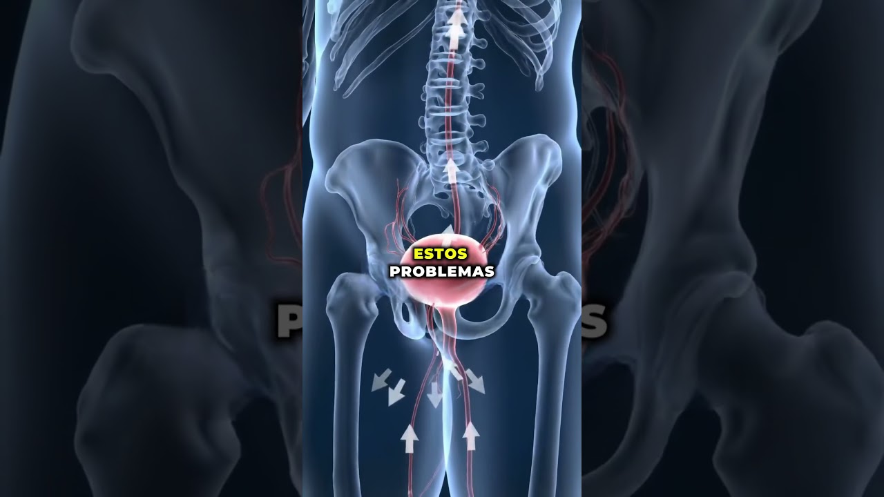 Reduce tu pr&oacute;stata de forma natural