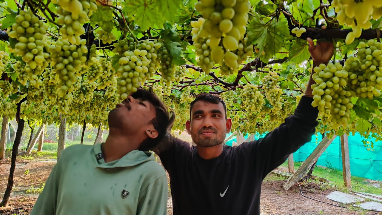 vlogger chotu is live!