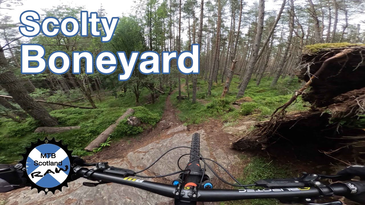 Scolty - Boneyard