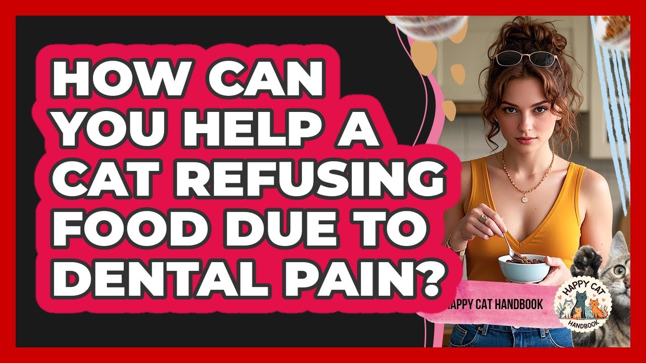 How Can You Help A Cat Refusing Food Due To Dental Pain? - Happy Cat Handbook
