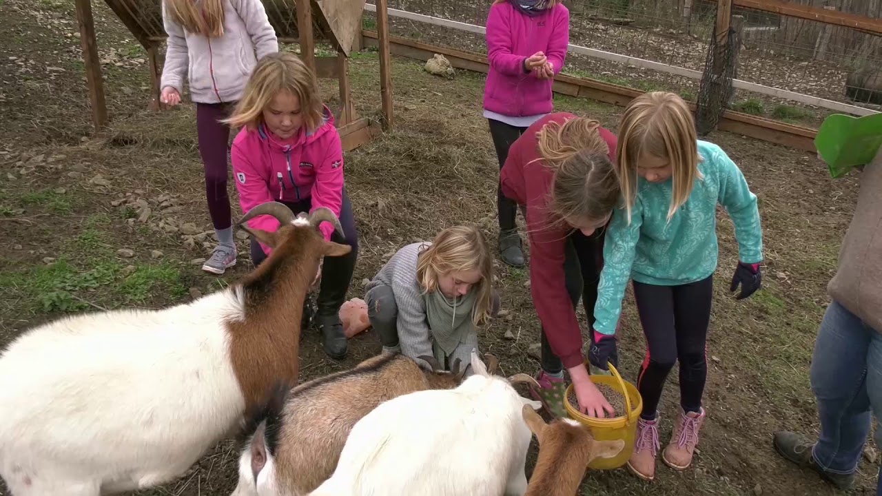 Ferienhof Pulte - Helden Sauerland