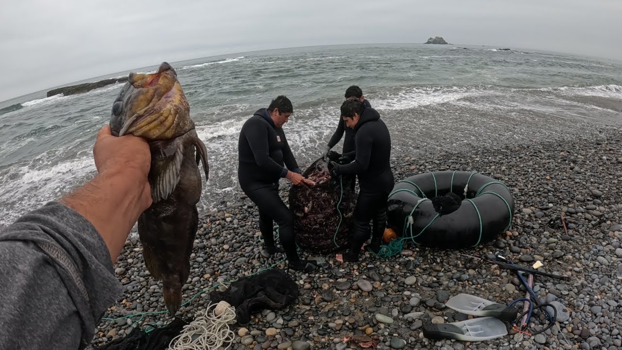 MIRA COMO NOS FUE CON EL BUCEO A PULMÓN!!