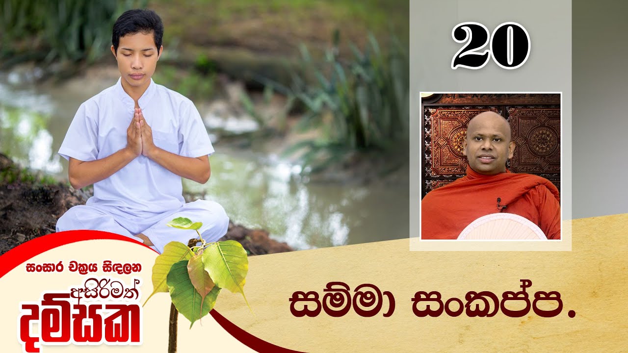 20) සම්මා සංකප්ප. | සංසාර චක්‍රය සිඳලන අසිරිමත් දම්සක