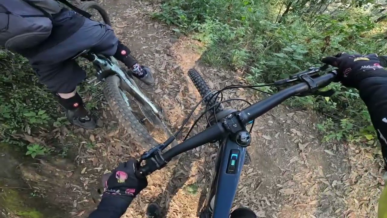 Almaya Flow pista DH