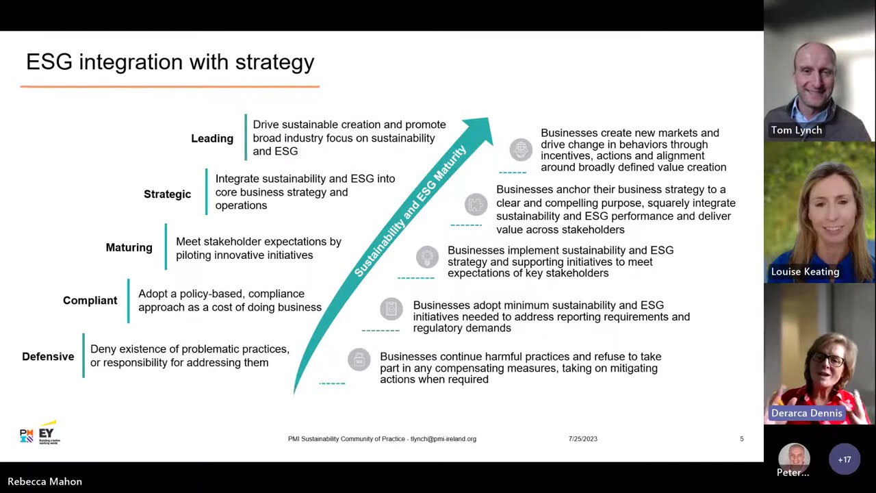 ESG Reporting Challenge and Opportunity Areas for Project Managers