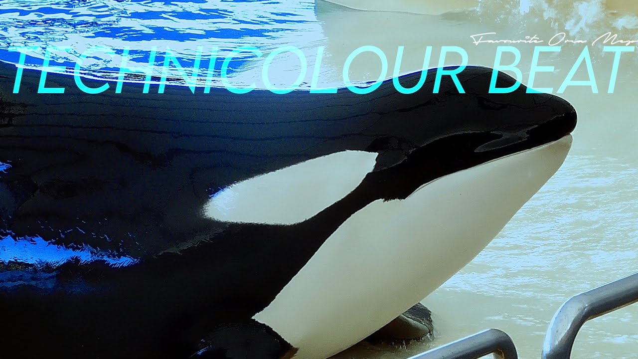 Technicolour beat || Complete