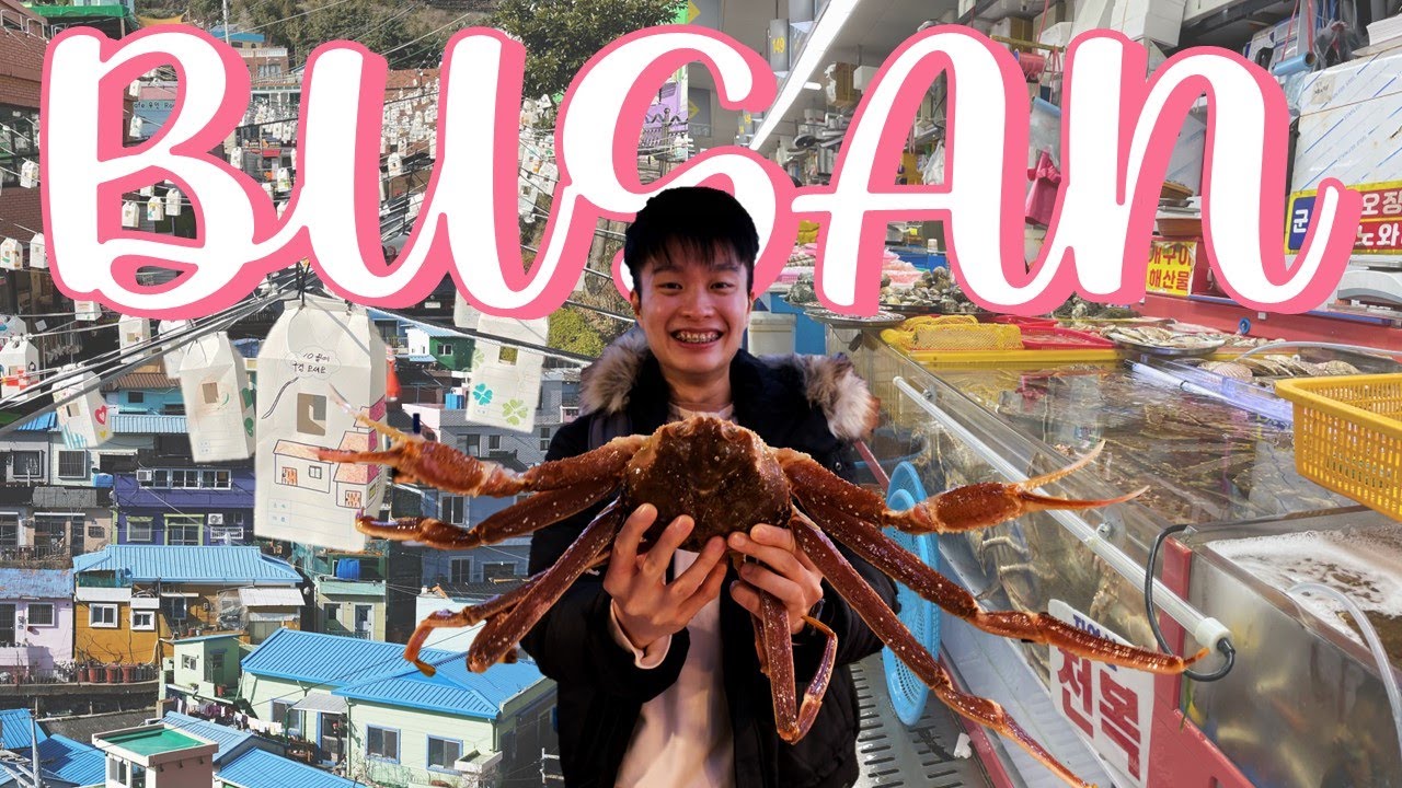 KOREA VLOG | Our FIRST day in Busan! | Gamcheon Culture Village, Jagalchi Fish Market