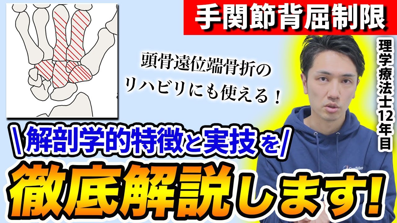 【評価ルーティン】手関節の評価を解剖学的に徹底解説します！