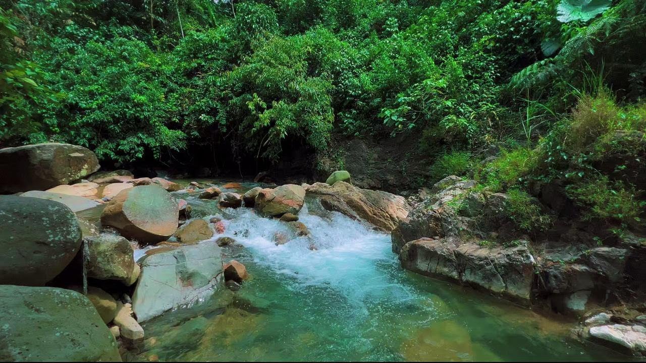4K-HDR | Calming River Flow Ambience to Ease Stress | Natural Sleep Sounds for Rest and Quiet Peace