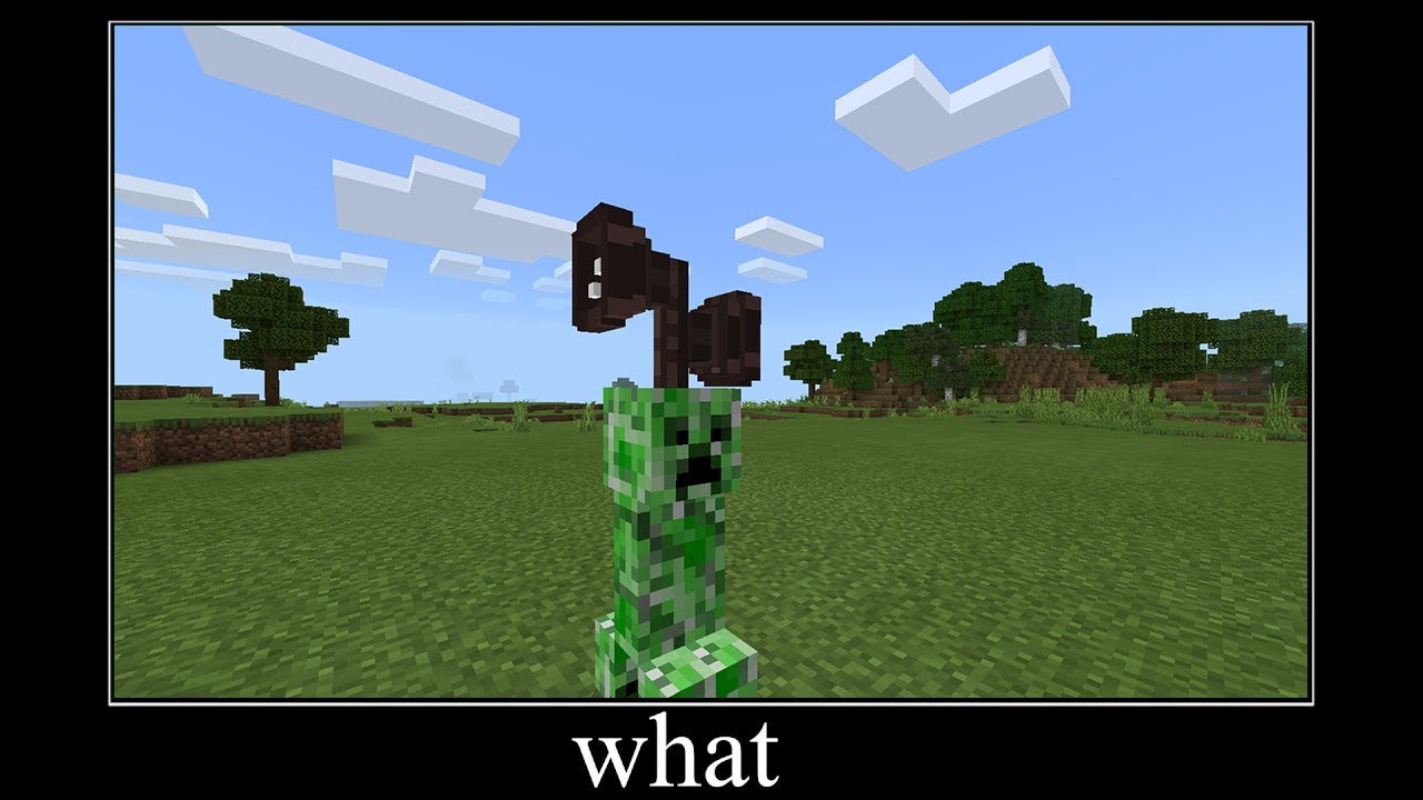 Creeper with SirenHead head What? - Minecraft what meme