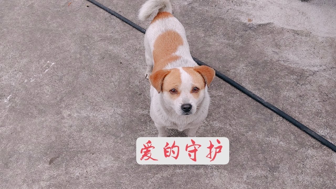 爱需要守护，爱需要陪伴，我身后的这些可爱的小朋友们。