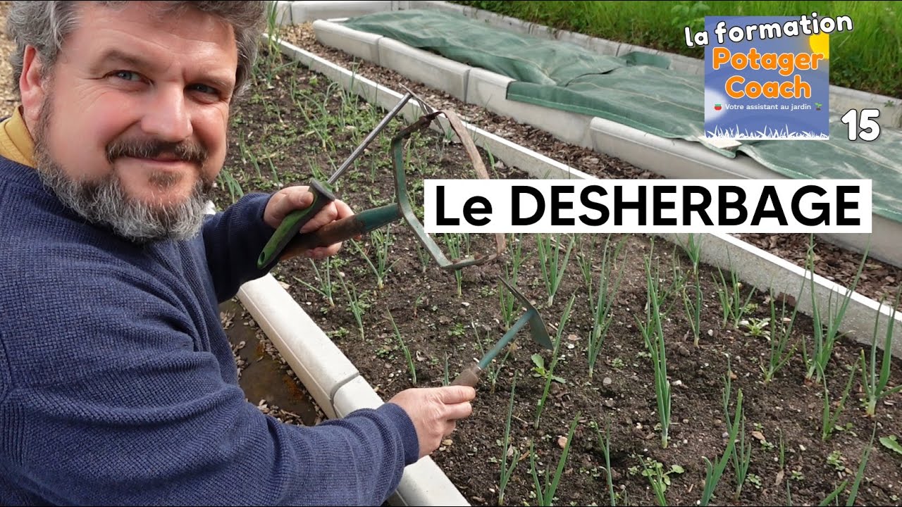LE DESHERBAGE【La formation Potager Coach - chapitre 15】
