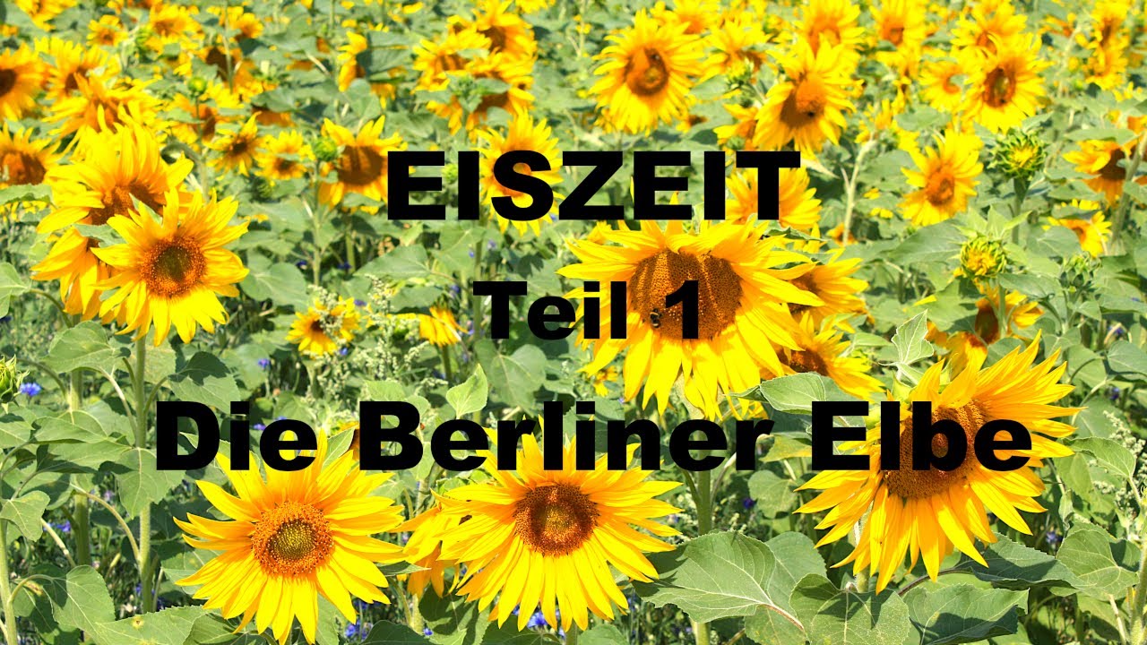 Eiszeit 1 Die Berliner Elbe