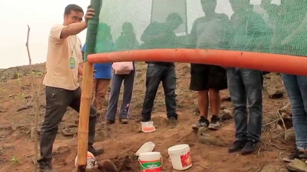 ONG ALEV: APRENDIENDO A CONSTRUIR ATRAPANIEBLAS