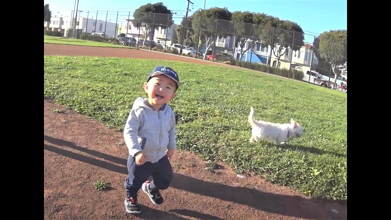 Supercute Baby Lucas First Walk on San Francisco Playground with Snowball 小豬舊金山遊樂場的第一次散步