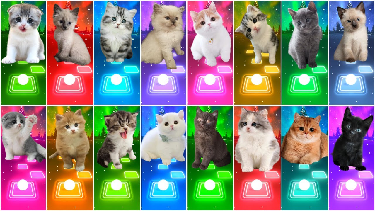 ALL CUTE CATS - SHAKIRA WAKA WAKA - ENEMY - BTS - BLACKPINK - SAVAGE LOVE - BABYSHARK TILES HOP