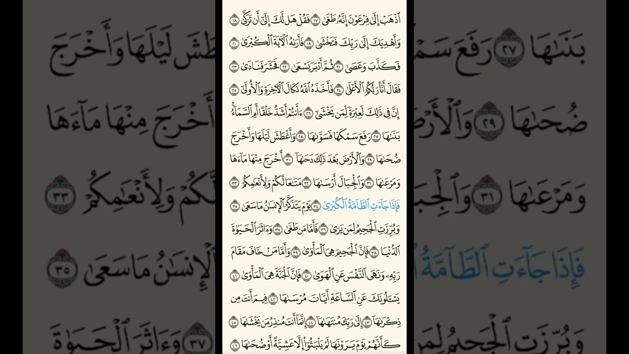 سورة النازعات بصوت الشيخ بندر بليلة 