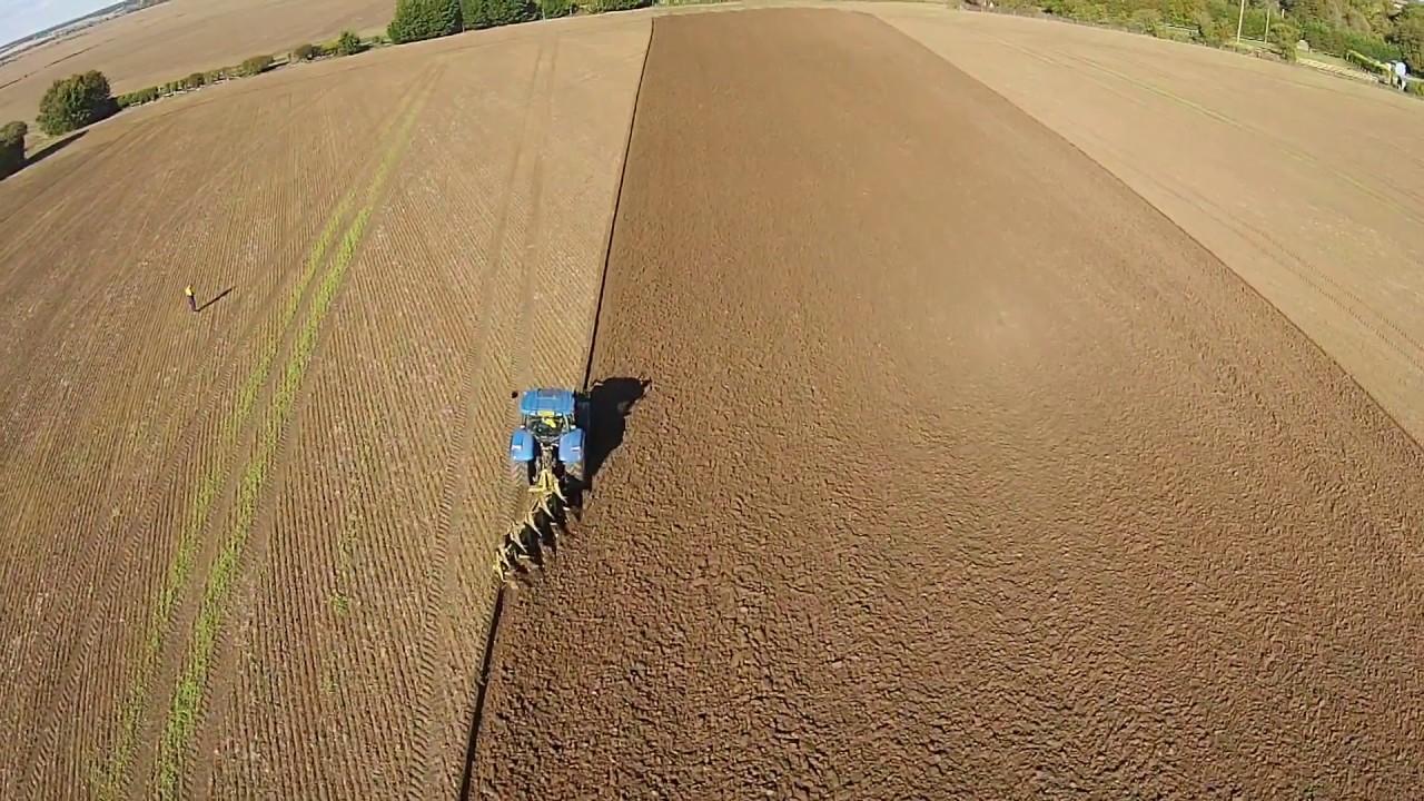 Ploughing for blackgrass control