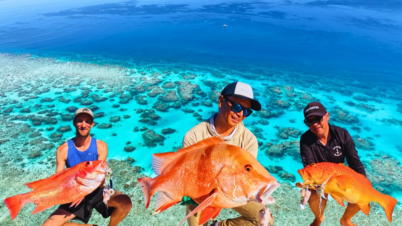 How To Find & Catch Trophy Reef Fish Consistently On The Great Barrier Reef