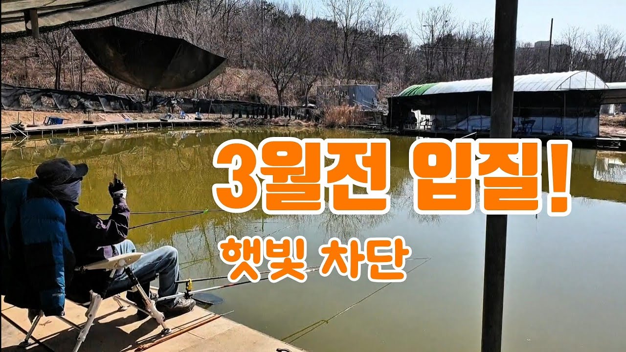 3월전 입질! 햇빛 차단