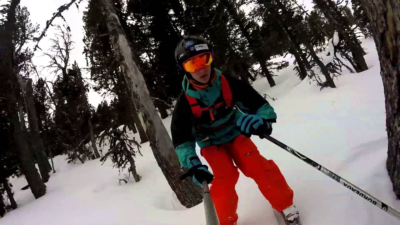 Edit poudreuse et arbres 2014-15