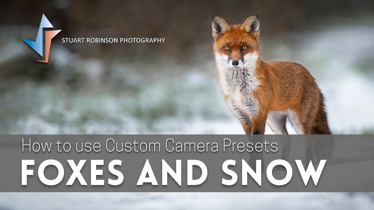 How to use Custom Camera Presets: Foxes and Snow