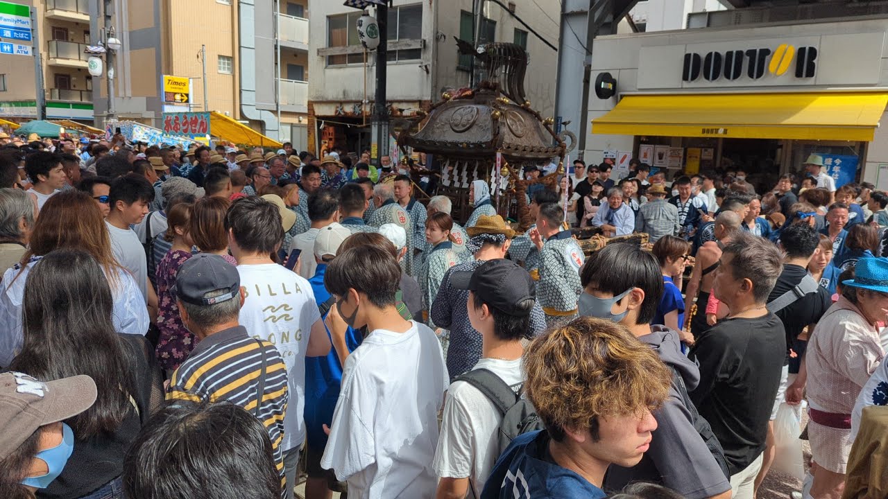 【高画質FHDライブカメラ】品川神社 例大祭　中神輿〜宮入り　Shinagawa Shrine annual festival【live camera】