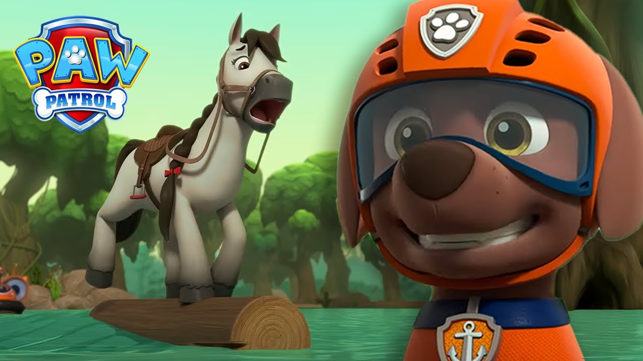 Zuma räddar en hoppande ponny ur ett träsk - PAW Patrol På Svenska Tecknad film för barn